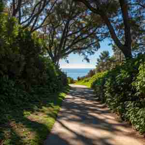 walking trails constructed with BIM coordination services.